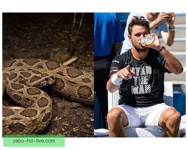 摇滚巨星邦·乔维现身迈阿密大师赛与网坛名将萨芬卢布合影互动