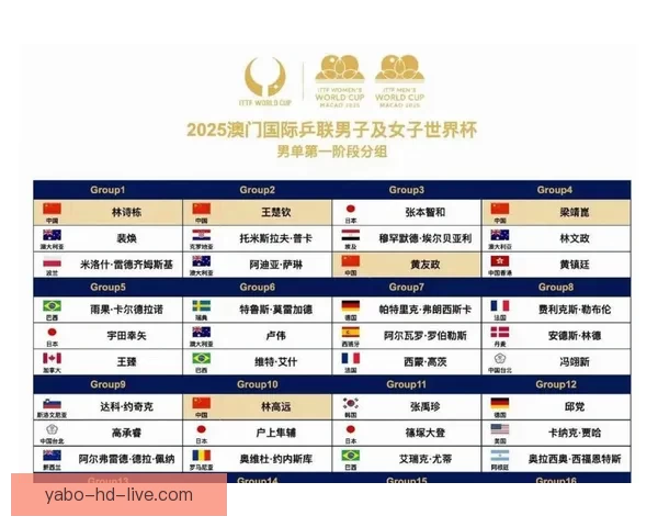 2026世界杯精彩直播全程覆盖最新赛况及实时分析